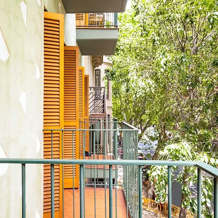 Aspasios Oasis
